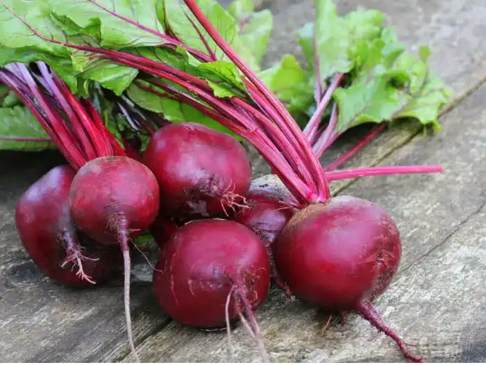 Why Beetroot Extract Is Popular in Endurance Supplements?